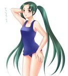  fang green_hair long_hair one-piece_swimsuit school_swimsuit solo suzumiya_haruhi_no_yuuutsu swimsuit tsuruya twintails very_long_hair yumeno_naka 