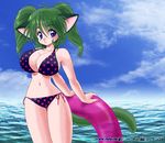  1girl akira_m animal_ears bikini blue_eyes breasts green_hair large_breasts navel ocean sky solo standing swimsuit tail 