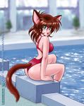  1girl akira_m brown_hair cat_ears green_eyes mizugi one-piece_swimsuit pool sitting solo swimsuit tail 