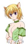  animal_ears blonde_hair breasts cat_ears catgirl collar fire_emblem fire_emblem:_akatsuki_no_megami fire_emblem:_souen_no_kiseki fire_emblem_path_of_radiance fire_emblem_radiant_dawn game laguz_(race) lethe lowres nekomimi short_hair 