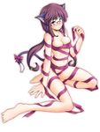  animal_ears batch cat_ears nekomimi 