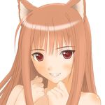  animal_ears batch holo horo long_hair ookami_to_koushinryou ookamimimi spice_and_wolf tail wolf_ears wolfgirl 