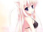  animal_ears batch cat_ears highres nekomimi 