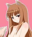  animal_ears batch holo horo long_hair ookami_to_koushinryou ookamimimi spice_and_wolf tail wolf_ears wolfgirl 