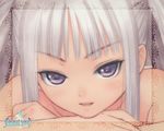  bare_shoulders close-up houmei purple_eyes shining_(series) shining_wind smile solo tanaka_takayuki twintails wallpaper white_hair 