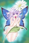  barefoot blue_wings butterfly_wings fairy flower mattaku_mousuke nude original pointy_ears purple_eyes purple_hair solo wings 