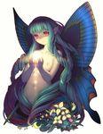  bad_id bad_pixiv_id blue_wings breasts butterfly_wings copyright_request cruccu drill_hair flower green_hair lily_(flower) long_hair nipples nude pointy_ears red_eyes small_breasts solo very_long_hair wings 