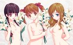  3girls multiple_girls nude tagme 