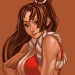  brown_eyes brown_hair fatal_fury hair_over_one_eye high_ponytail long_hair pontako ponytail shiranui_mai snk solo the_king_of_fighters 