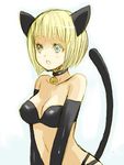  animal_ears bad_id bad_pixiv_id bare_shoulders bell bell_collar bikini bikini_top blonde_hair breasts cat_ears clare_(claymore) claymore cleavage collar elbow_gloves face gloves large_breasts midriff pocopoco short_hair silver_eyes solo swimsuit tail 