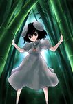  bamboo bamboo_forest forest inaba_tewi kashiwagi_kazuhiro nature solo touhou 