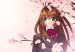  brown_hair cherry_blossoms copyright_request green_eyes hyougo_kikusuimaru long_hair school_uniform solo 
