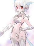  animal_ears armor armpits breasts cat_ears crotch_plate elbow_gloves fantasy gloves hand_on_hip large_breasts midriff original red_eyes revealing_clothes saibashi short_hair solo tail tattoo thigh_gap thighhighs white_hair 