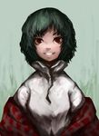  collared_shirt green_hair grey_background grin kazami_yuuka laboto looking_at_viewer nose off_shoulder plaid red_eyes shirt short_hair smile solo touhou tsurime wavy_hair 