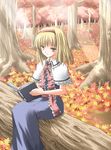  alice_margatroid autumn autumn_leaves blonde_hair book capelet hairband holding holding_book light_rays open_book plant puffy_short_sleeves puffy_sleeves reading short_hair short_sleeves sitting solo subaru_noji touhou tree tree_stump 