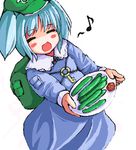  cucumber kawashiro_nitori oekaki solo touhou two_side_up 