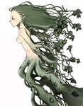  bad_id bad_pixiv_id breasts copyright_request dryad flower green_flower green_rose kasa monster_girl nude plant plant_girl profile rose simple_background small_breasts solo suction_cups tentacles vines white_background 