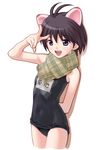  animal_ears antenna_hair black_school_swimsuit cat_ears cowboy_shot idolmaster idolmaster_(classic) idolmaster_live_for_you! kikuchi_makoto looking_at_viewer name_tag nekopuchi one-piece_swimsuit plaid plaid_scarf scarf school_swimsuit simple_background solo swimsuit white_background 