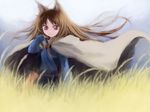  animal_ears brown_hair cape holo iseki_(kuroshura_no_tabiji) long_hair red_eyes solo spice_and_wolf wheat wolf_ears 