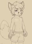  4_fingers canine clothed clothing cub fox jamesfoxbr looking_at_viewer mammal shorts simple_background standing topless tycloud young 