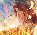  animal_ears brown_hair holo long_hair nude red_eyes shino_(eefy) solo spice_and_wolf sunrise tail wheat wolf_ears 