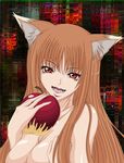  animal_ears bad_id bad_pixiv_id breasts cleavage holo large_breasts long_hair madhatter_hello nude solo spice_and_wolf wolf_ears 