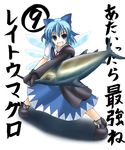  1girl advent_cirno cirno fish gloves makina_assault parody smile solo touhou translated 