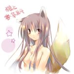  bangs breasts holo jin_rikuri long_hair lowres nude solo spice_and_wolf 