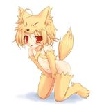  animal_ears artist_request bottomless flat_chest fox_ears lowres moonlight_flower navel no_panties paws ragnarok_online solo tail 