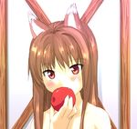  animal_ears apple eating fang food fruit holding holding_food holding_fruit holo lowres nagisa_manoa nude solo spice_and_wolf wolf_ears 