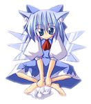  animal_ears barefoot bow cat cat_ears cirno ichidai_taisa indian_style lowres sitting solo touhou 