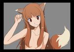  animal_ears black_border border breasts holo long_hair nude solo spice_and_wolf tail upper_body wolf_ears 