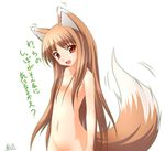  animal_ears duplicate holo kazami_karasu long_hair nude solo spice_and_wolf tail translated wolf_ears 