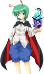  antennae blue_eyes bug cape green_hair insect michii_yuuki solo spider tomboy touhou wriggle_nightbug 