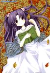  book clannad dress hair_bobbles hair_ornament highres ichinose_kotomi leaf patoto solo two_side_up 