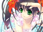  888 brown_hair copyright_request flower frills green_eyes hibiscus solo 