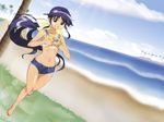  andou_mahoro beach breasts cloud day dutch_angle grass groin long_hair mahoromatic ocean outdoors palm_tree shirt_tan shorts sky small_breasts solo tan tanline tree underboob wallpaper watanabe_tooru water 