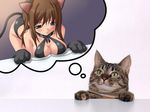  animal_ears blush breast_rest breasts brown_hair cat cat_ears cat_tail catgirl cleavage comedy criss_cross_top green_eyes kitty large_breasts plate tail 