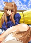  animal_ears arm_support bottomless breasts brown_hair holo jacket jewelry long_hair long_sleeves lying maho_(yakimorokoshi) medium_breasts necklace no_pants red_eyes smile solo spice_and_wolf tail wolf_ears wolf_tail 