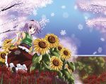  blush cherry_blossoms flower hieda_no_akyuu koto looking_at_viewer purple_hair seasons smile snow solo spider_lily sunflower touhou 