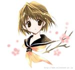  brown_hair cherry_blossoms copyright_request flower nanase_aoi school_uniform serafuku short_hair solo 