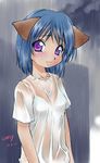  animal_ears blue_hair cat_ears copyright_request ebifly purple_eyes rain solo tears 