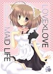  :3 animal_ears apron ayato_mimi brown_hair copyright_request maid purple_eyes solo 
