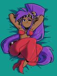 blue_eyes breasts brown_body brown_skin clothing ear_piercing ear_ring female footwear genie hair hi_res humanoid humanoid_pointy_ears long_hair looking_at_viewer majayrick not_furry one_eye_closed piercing ponytail purple_hair ring_piercing shantae shantae_(series) solo wayforward wink