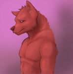 anthro canid canine circle_eyebrows ethan0 eyebrows hi_res looking_at_viewer male mammal narrowed_eyes pink_background red_body simple_background smile solo