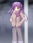  coat hiiragi_kagami lucky_star purple_hair scarf snow solo tekehiro twintails 