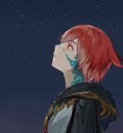 1boy animal_ears cat_ears closed_mouth crystal_exarch final_fantasy final_fantasy_xiv from_side g&#039;raha_tia highres hood hood_down looking_up lumeru_33 male_focus night night_sky profile red_eyes red_hair robe short_hair sky smile solo star_(sky) starry_sky 