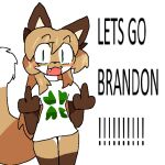 1:1 4chan anthro averi_(fiddleafox) brown_body brown_fur canid canine clothing dipstick_tail english_text female female_anthro fox fur gesture gloves_(marking) green_eyes hair leg_markings looking_at_viewer mammal markings middle_finger politics shirt simple_background socks_(marking) solo standing tail tail_markings text topwear unknown_artist white_body white_fur