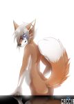 2011 blue_eyes caccia canid canine canis ear_piercing eyewear fox foxxel fur gauge_piercing glasses hair industrial_piercing male mammal nude orange_body orange_fur piercing pose raised_tail standing tail white_body white_fur white_hair