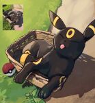  basket chufflepop closed_eyes grass highres leaf lying no_humans outdoors photo_inset plant poke_ball pokemon pokemon_(creature) reference_inset shadow tongue tongue_out umbreon 